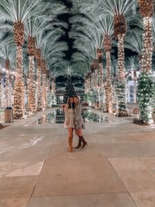 Scottsdale Quarter Palm Trees