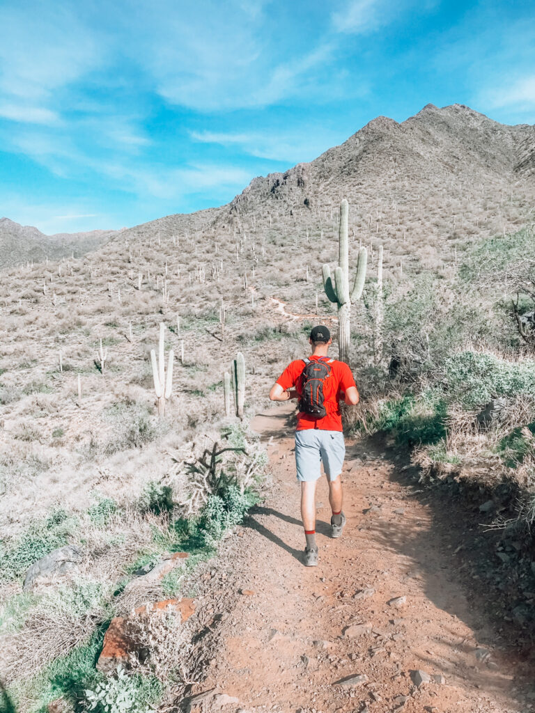 McDowell Mountain Hiking Gateway Loop