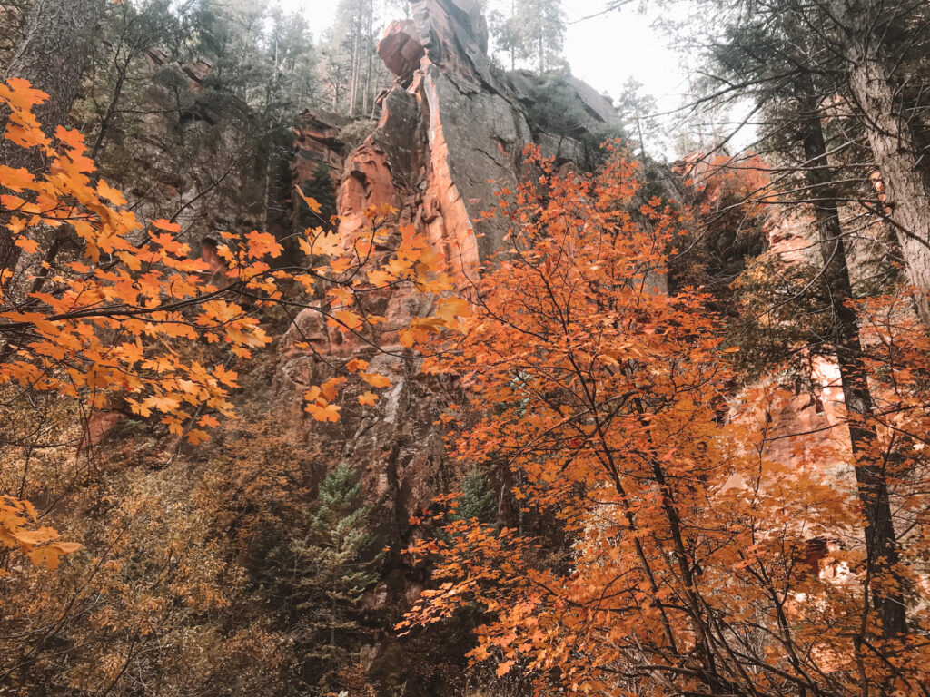 West Fork Trail in October