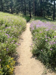 Lions Lair Spur Trail