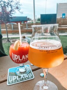 Upland Brewery