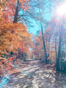 Fall at Salem Lake Trail