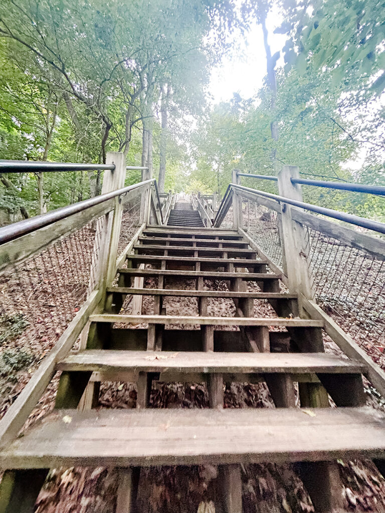 Mount Baldhead stairs