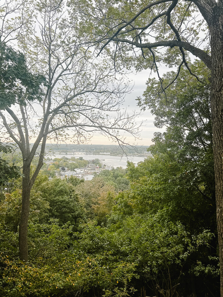 Mount Baldhead views